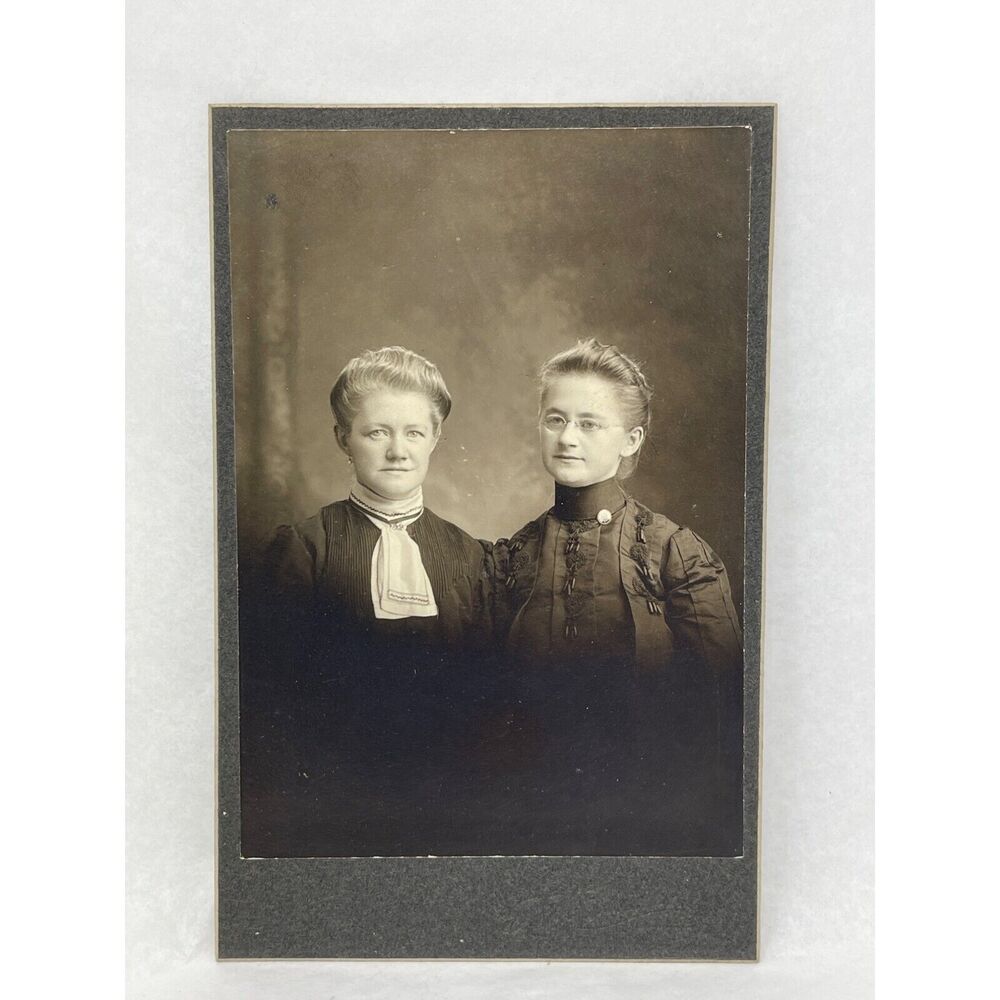 1800s‎ FW Sander Monee IL Victorian Ladies Political Pinback Vintage Photograph